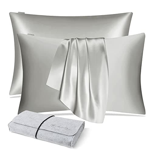 DISANGNI 100 Natural Mulberry Silk Pillow case for Hair and Skin with Hidden Zipper 22 Momme Both Sides Real Silk Pillow Case 2pc Standard Size 20 x26 Light Grey