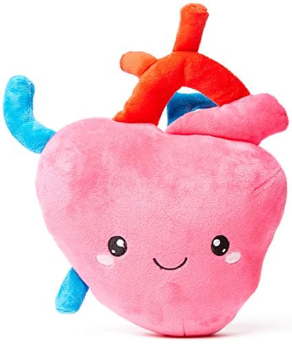 nerdbugs Heart Plush I Aorta to Tell You How Much I Love You Adorable Cute and Funny Cardiology Heart Plush Health Educational Gift Heart Surgery Gift Heart attack gift