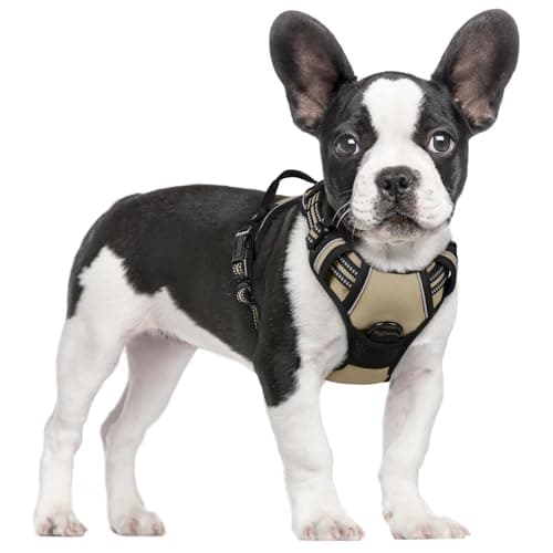 rabbitgoo Dog Harness No Pull with 2 Leash Clips, Adjustable Soft Padded, Reflective Oxford No Choke Pet Vest with Easy Control Handle for Small Dogs, Beige, S