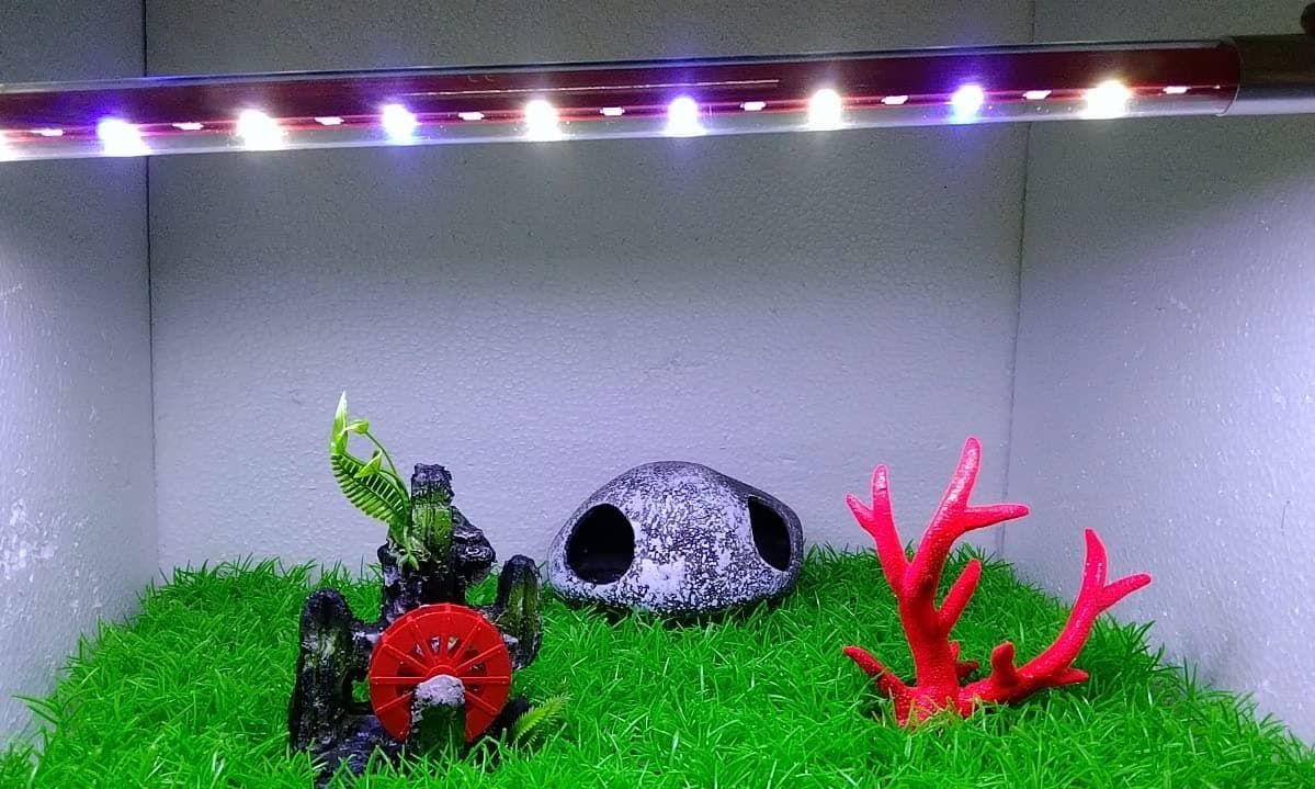 SANSEFERO T4 Series Colour Changing Submersible Aquarium Fish Tank LED Light (T4-600Lc | 4W | 2.5 Feet Tank) (White,Blue,Green,Red)