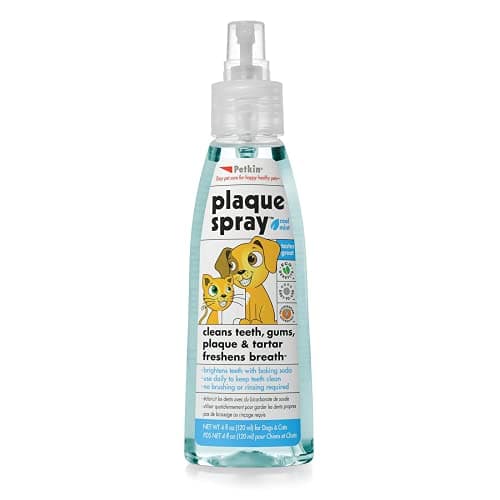 Petkin Cool Mint Plaque Spray for Dogs & Cats, No Brush Cleaning, Brightens Teeth, Freshens Breath, Easy Application, Daily Use, Remove Plaque and Tartar, 120 ml