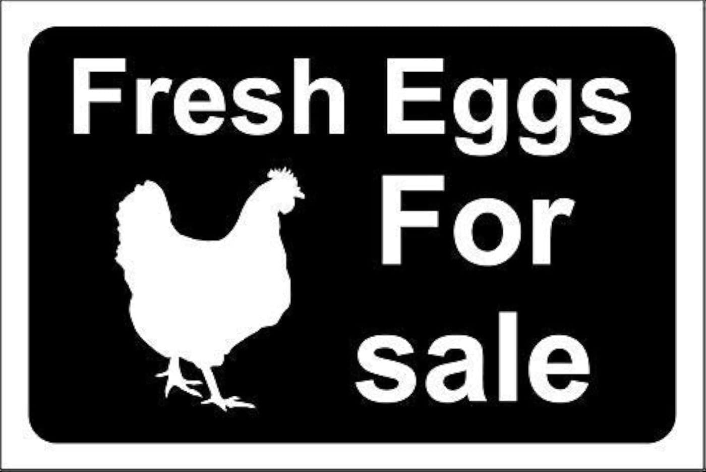 Mvgges New Funny Novelty Metal Sign Aluminum Sign Fresh Eggs for Sale Sign for Outdoor Indoor 16 x 12
