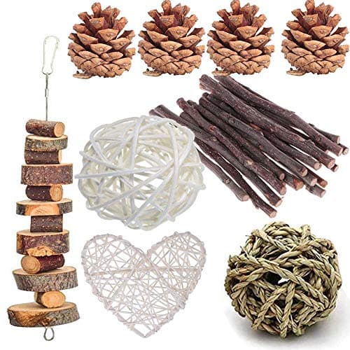ANDES Rabbit Chew Toys Pet Bunny Tooth Chew Toys Organic Natural Apple Wood Grass Cake Ideal for Bunny Chinchilla Guinea Pigs Hamsters Teeth Grinding Bird Exercise Molar 13PCS