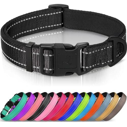Joytale Reflective Dog Collar, Soft Neoprene Padded, Metal D-Ring, Nylon Pet Collar Adjustable for Medium Dogs, Black, M