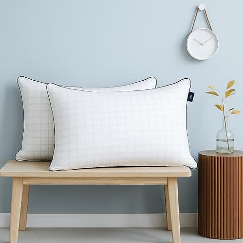 bien LIVING Extra Soft Microfiber Filled Pristine Pillow, Luxurious 300 Tc 100% Cotton Fabric Treated with Sanitized Finish, Sleeping Pillow for Back Sleepers, 17 X 27 Inches, White (Pack of 2)