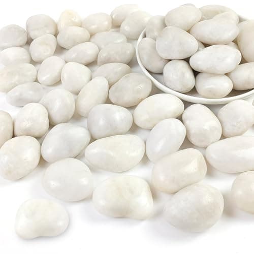 SHIZWU 5LB Polished White River Rocks for Plants,1-2.2 Inch Polished Pebbles for Garden Decoration Stones for Landscaping Aquarium Fish Tank Succulents