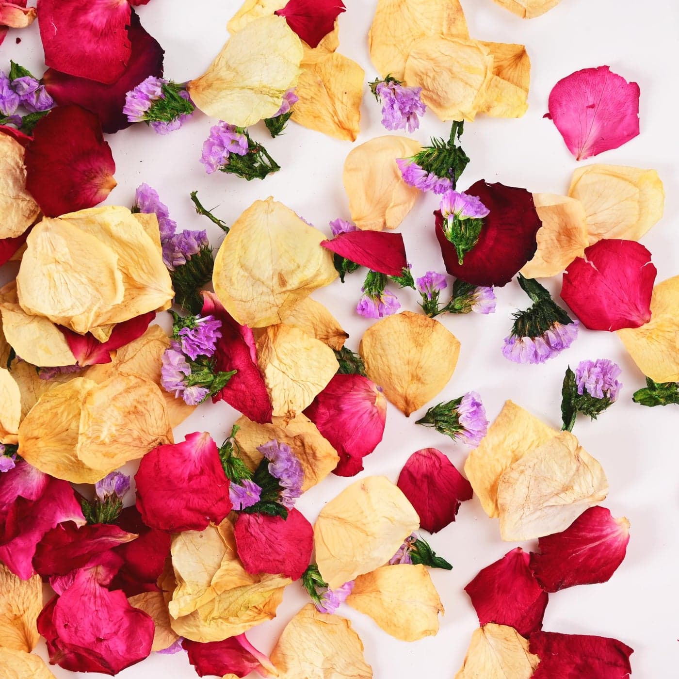 Koceko 20 Cups Real Dried Rose Petals Biodegradable Wedding Flower Confetti 2 QT Mixed Yellow Red Roses Petals Purple Statice for Flower Girl Wedding Bridal Proposal Bath