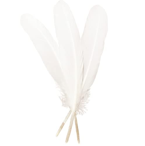 50pcs White Feathers 8~10 in,Beautiful Bulk Long Feather for Crafts(21-25CM),Big Size Bilateral Natural Goose Feather,for Wedding Dress and Party Decoration,DIY Fabricating Handicraft Article(White)