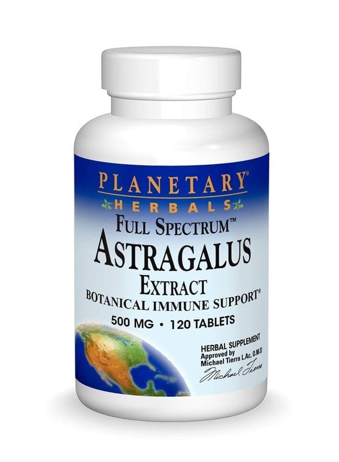 Astragalus Extract, Full Spectrum 500 mg Botanical for Immune System Support - 120 Tablets