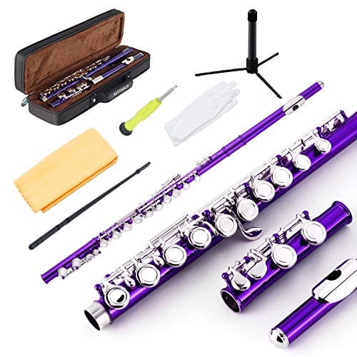 EASTROCK Closed Hole Flutes C 16 Key for Beginner, Kids, Student -Nickel Flute with Case Stand and Cleaning kit (Purple)