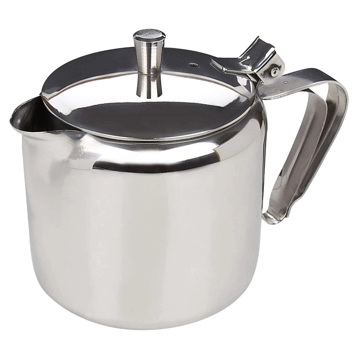 finality Stainless Steel Tea Serving Pot with HandleTea Coffee Kettle Medium Capacity450ml Silver Color Pack of 1