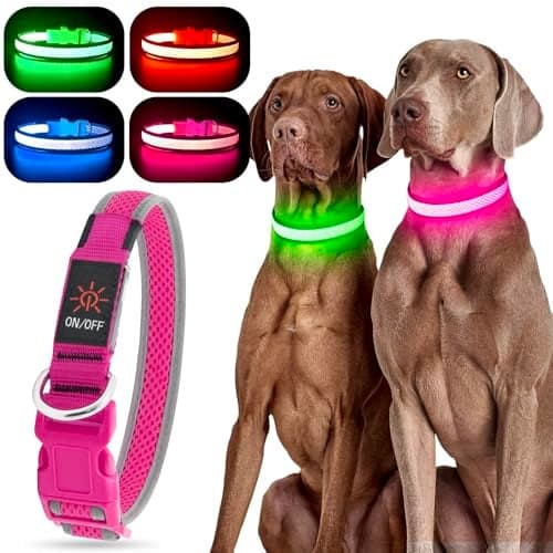 YFbrite Light up Dog Collar, USB Rechargeable LED Puppy Collar Super Bright Adjustable Glowing Dog Lights for Night Walking (Pink, Small)