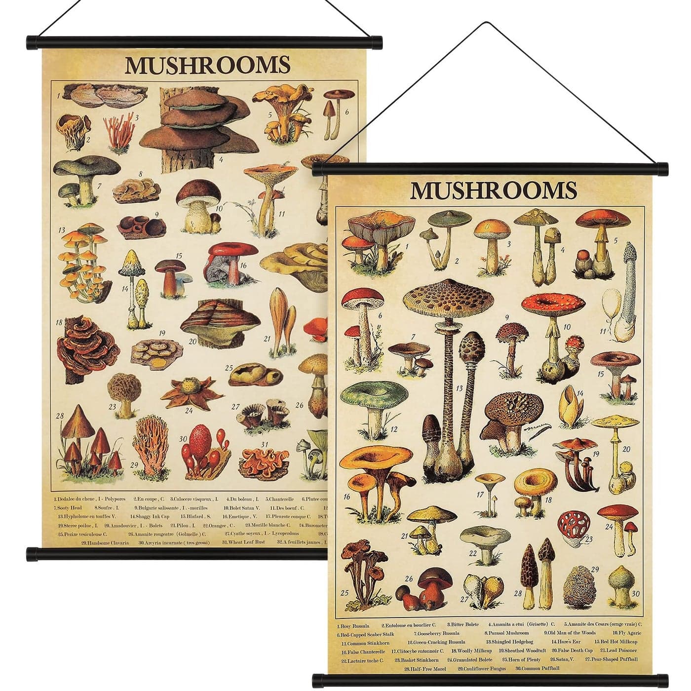 Geosar 2 Pcs Vintage Mushroom Flower Butterfly Tree Poster Fungus Rustic Wall Hanging Illustrative Reference Chart Poster for Bedroom Living Room 154 x 236 Inch Vintage Mushroom
