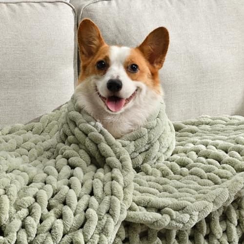 Feabuccy Soft Chunky Knit Blanket, 60X80 in Handmade Thick Chenille Yarn Throw Without Shedding & Raveling, Aesthetic & Cozy Home Decor with Couch Sofa Bed, Gift Pack, Sage Green