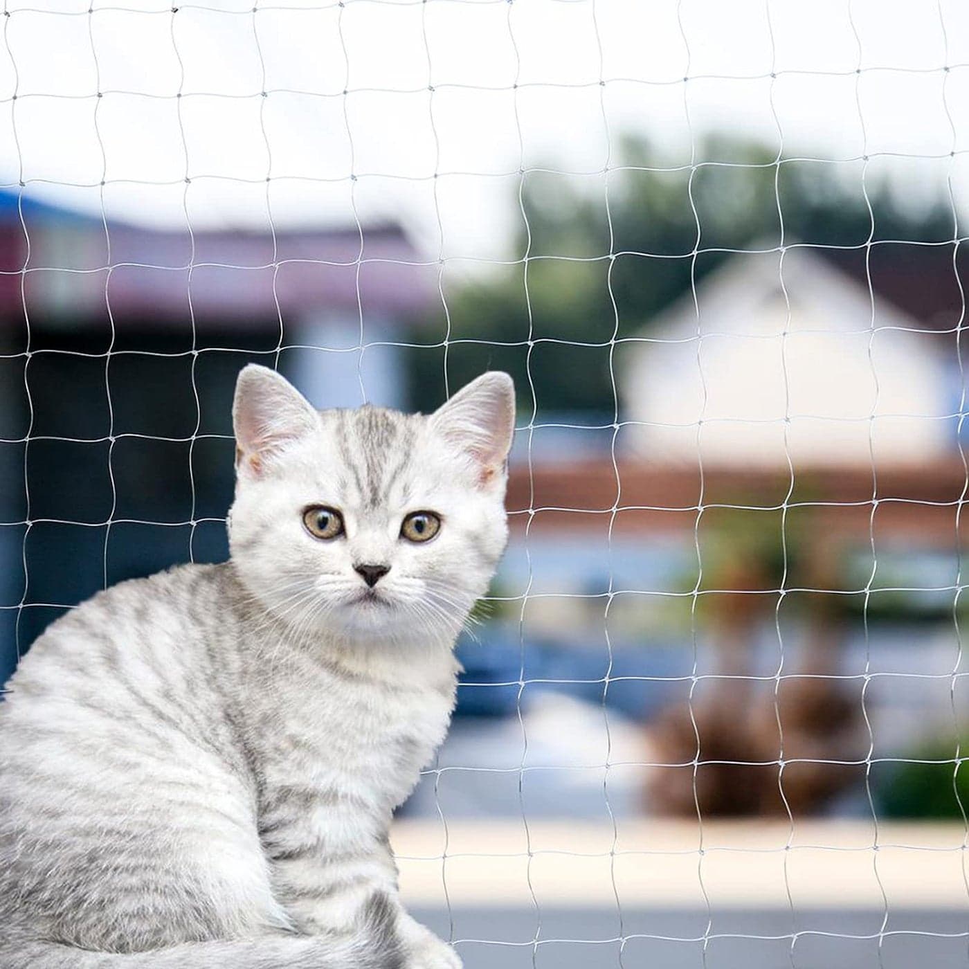 Cat Balcony Net Cat AntiFall Fence Net Dog Fence Nets Transparent Nylon Pet Mesh Fence AntiFall Netting for Balcony Window Stairs Netting for Balcony Window Stairs1020ft 10 20ft