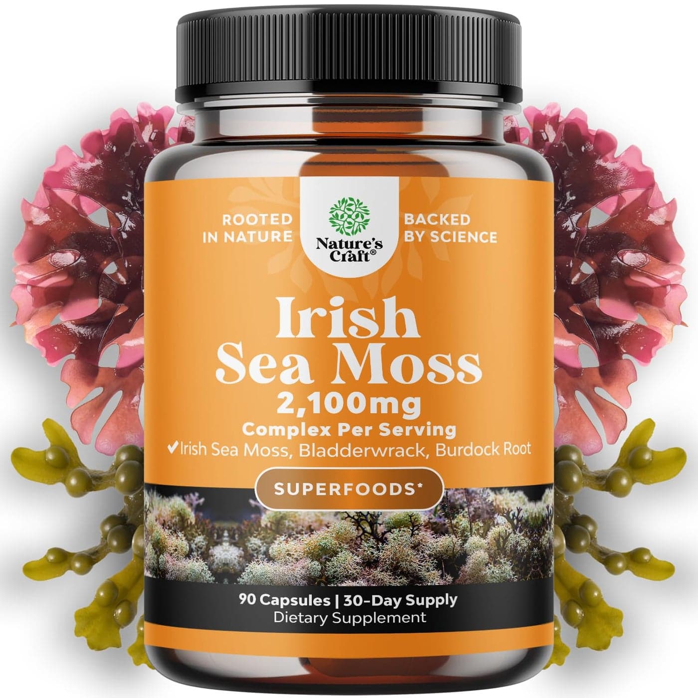 Organic Irish Sea Moss Capsules Organic Sea Moss Pills with 2100mg Serving Superfood Complex with Bladderwrack Burdock Root and BioPerine for Immune Skin Thyroid Support Vegan NonGMO 1 Month