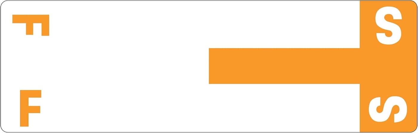 Smead AlphaZ NCC ColorCoded Labels Letters FS Gray 100 Labels per Pack 67157 Orange