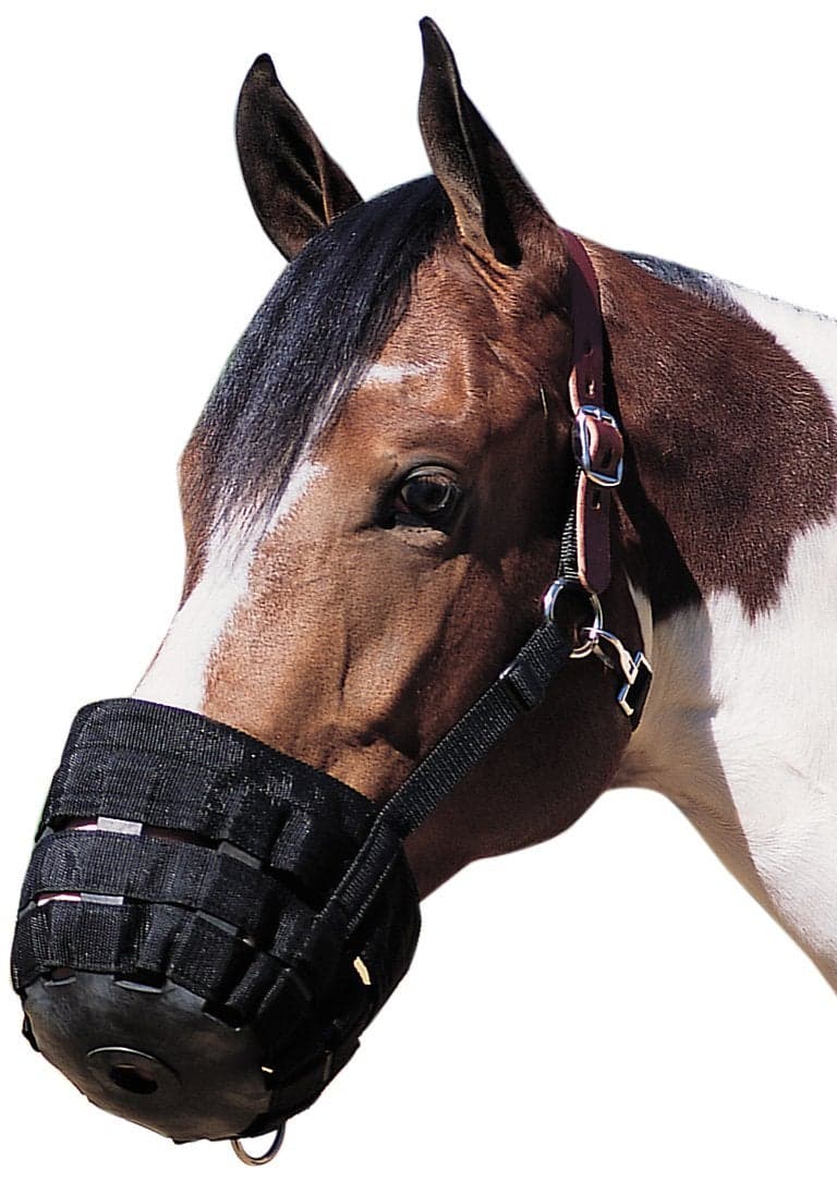 Weaver Leather Grazing Muzzle