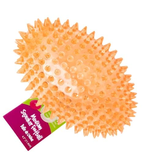Gnawsome 45 Spiky Squeaker Football Dog Toy Large Cleans Teeth and Promotes Good Dental and Gum Health for Your Pet Colors Will VaryAll Breed Sizes