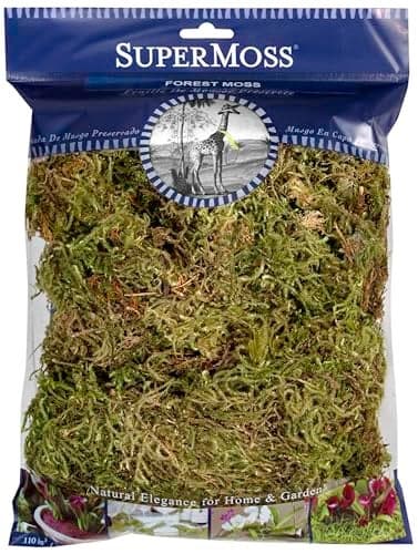 SuperMoss (21576) Dried Forest Moss Decorative Table Centerpiece Fairy Garden Potted Plant Decor, Natural Green, Appx. 4 oz