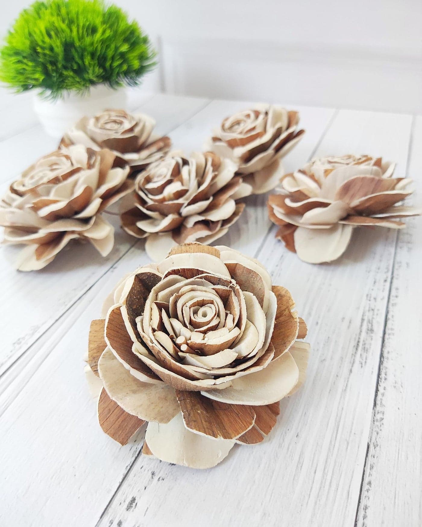 JOYNAGAR Eco-Friendly Sola Wood Raizel Flowers Pack of 10 pcs | Handcrafted Sustainable Floral Decor | Natural & Biodegradable | Wedding, Home, and Event Decoration (6 cm)