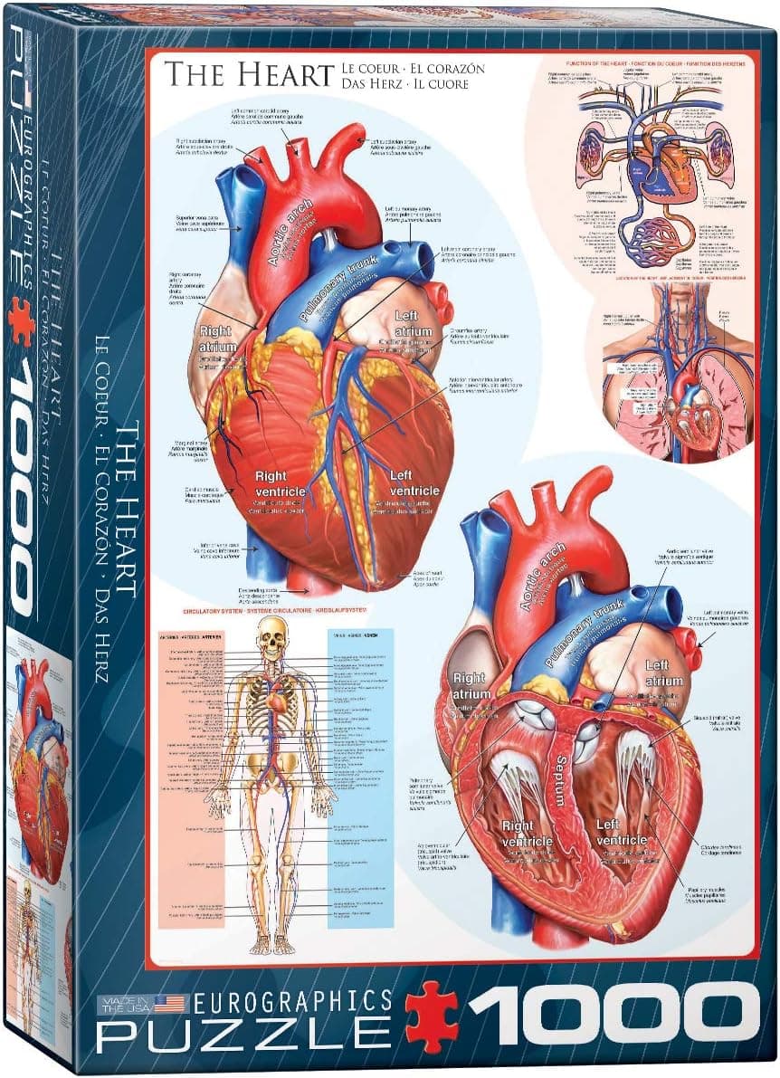 EuroGraphics Human Body The Heart Puzzle 1000Piece Blue