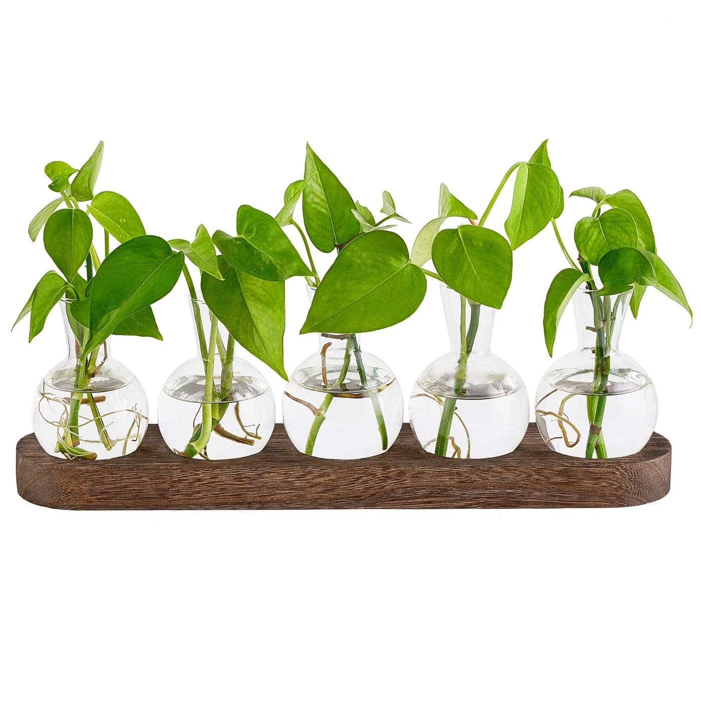 Mkono Desktop Plant Propagation Glass Station Retro Terrarium with Wooden Tray Bulb Vase for Hydroponic Home Indoor Decor Brown Plant Lover Gift