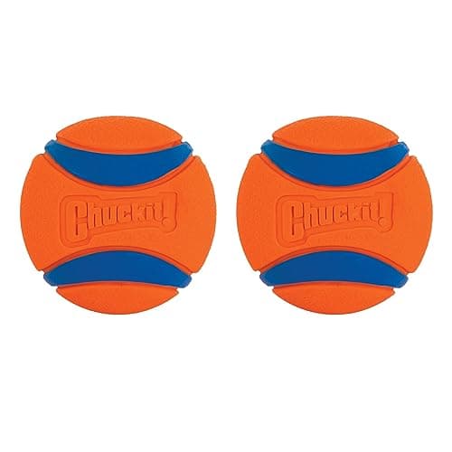 Chuckit Ultra Ball Dog Toy Balls for Dogs to Fetch Durable Rubber Small 2inch Pack of 2