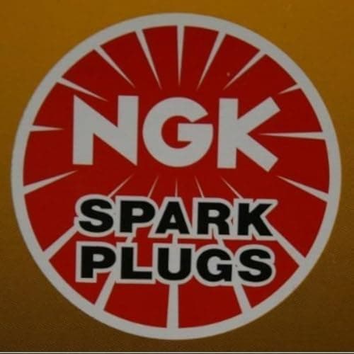NGK (8196) DCPR6EIX Spark Plug - Pack of 4