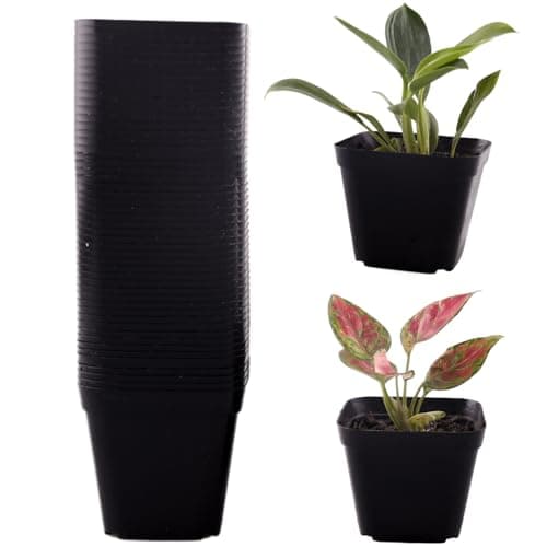 Tulpeed 50 Packs Square Nursery Pots for Plants 4 Inch Succulent Plant Pots Set Plastic Seedling Starting Pots with Drainage Holes Nursery Pots Variety Pack Flower pots Planter Seed Starter Black