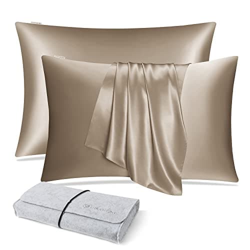 DISANGNI 100 Natural Mulberry Silk Pillow case for Hair and Skin with Hidden Zipper 22 Momme Both Sides Real Silk Pillow Case 2pc Queen Size 20 x30 Taupe