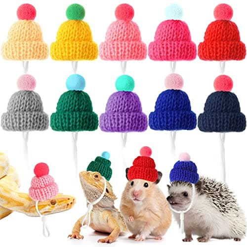 Kajaia 10 Pieces Pet Snake Christmas Hat Hamster Hat with Adjustable Elastic Strap, Snake Ball Hamster Python Lizard Guinea Pig Knitted with Pompon for Small Reptile Animal Decoration Accessories