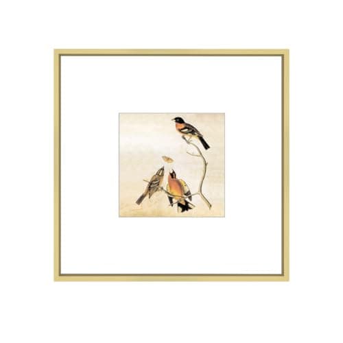 8x8 Picture Frame, Brass Metal Square Photo Frames with HD Glass, Fits 5x5 with Mat or 8 x 8 without Mat, Display for Wall and Table, 1 Pack