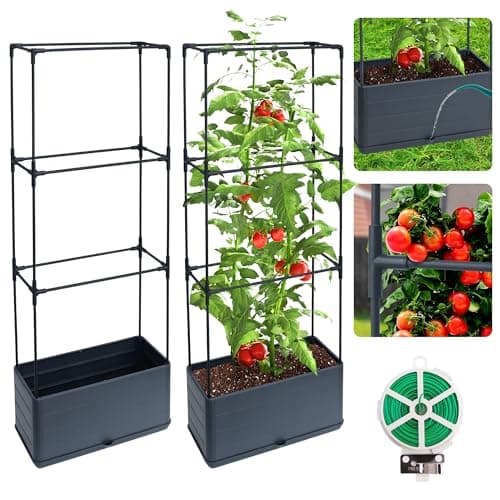 2 Packs Raised Garden Bed Tomato Planter Box with Trellis 434 SelfWatering Tomato Cage with Rectangular Trellis for Climbing Plants Flowers Vegetables Vine in Patio Garden Indoor Outdoor