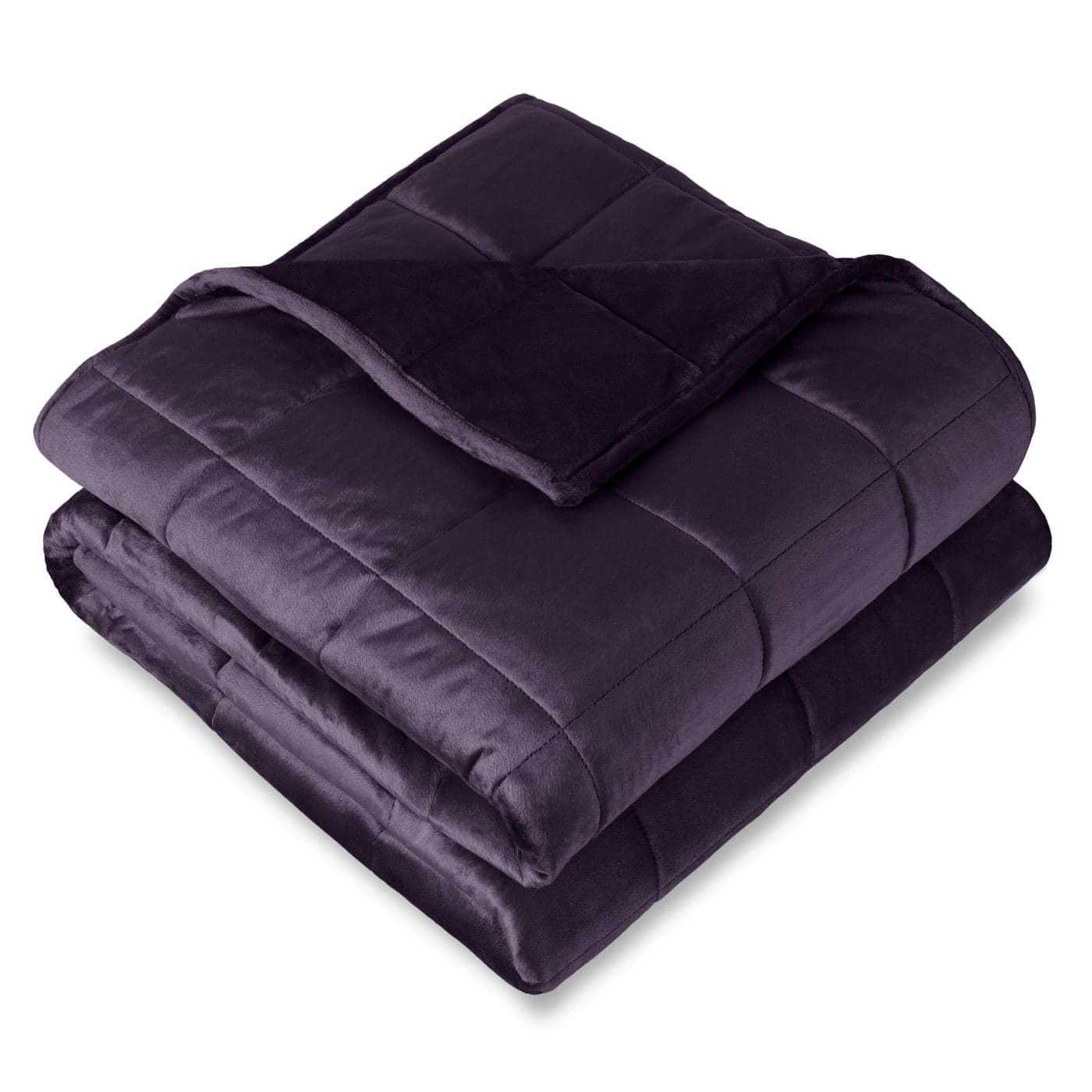 Bare Home Weighted Blanket Twin or Full Size 10lb 40 x 60 Minky Fleece Premium Heavy Blanket Nontoxic Glass Beads Eggplant 40x60