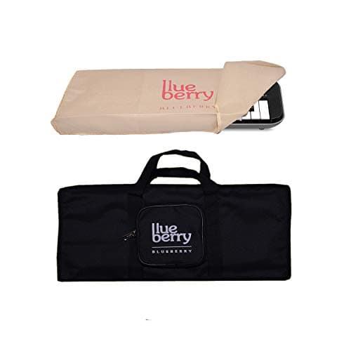 Blueberry KB10-Bag & Dust Cover Compatible with Casio SA-46, Casio SA-47, Casio SA-50, Casio SA-51 Keyboard (BLACK)