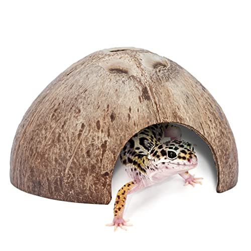 2 Pack Natural Coconut Reptile Hideouts, Lizard, Spider and Aquarium Fish Hide Cave (Smooth Surface)