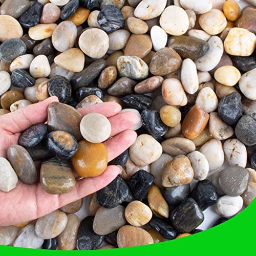 CJGQ Pebbles for Plants 3 lb Natural Garden Decorative Stone Outdoor Aquariums Gravel 1-1.5 Inches