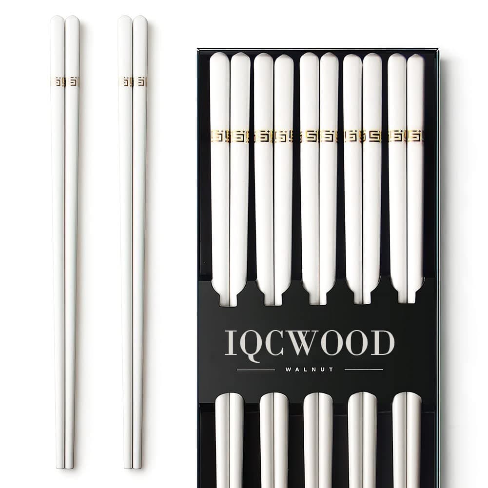 Ceramic Chopsticks 5 Pairs 95 Inch Reusable Chopsticks Dishwasher Safe Highgrade Bone China Porcelain with Case