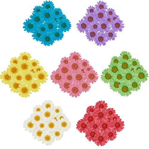 Nuanchu 84 Pcs Pressed Flowers Real Dried Daisies Colorful Pressed Daisy Flowers Dried Flowers for Resin Crafts Mold Jewelry Making Candle Nails Decoration, 7 Bags