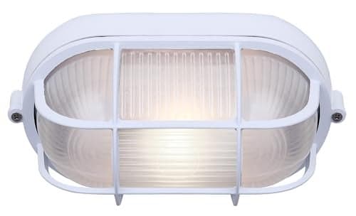 Canarm 1-Light Outdoor Wall or Ceiling Light, Marine Style White Finish, Durable Wet-Rated Outdoor Lighting for Porch, Patio or Outdoor Entryway