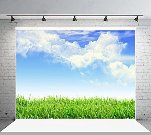 Leyiyi 10x8ft Spring Grassland Photography Background Gardening Plant Meadow Sky Cloud Light Spot North Prairie Backdrop Nature View Outdoor Activity Kids Birthday Photo Portrait Vinyl Studio Prop