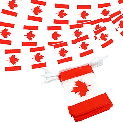 Anley Canada Canadian String Pennant Flags Patriotic Events July 1st National Canada Day Dominion Day Celebration Decoration for Sports Bars 33 Feet 38 Flags