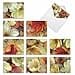 The Best Card Company 10 Boxed Note Cards with Flowers Blank Assorted Floral Notecards Bulk 4 x 512 Inch Spice Blooms M6628OCB