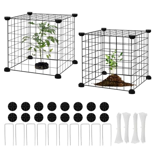 DYAUS 2 Packs Plant Protectors from Animals Metal Plant Protector 12 x 12 Plant Cage Outdoor 10Pcs Metal Mesh Chicken Wire Cloche Sturdy Plant Covers from Animals Garden Cloches for Plants