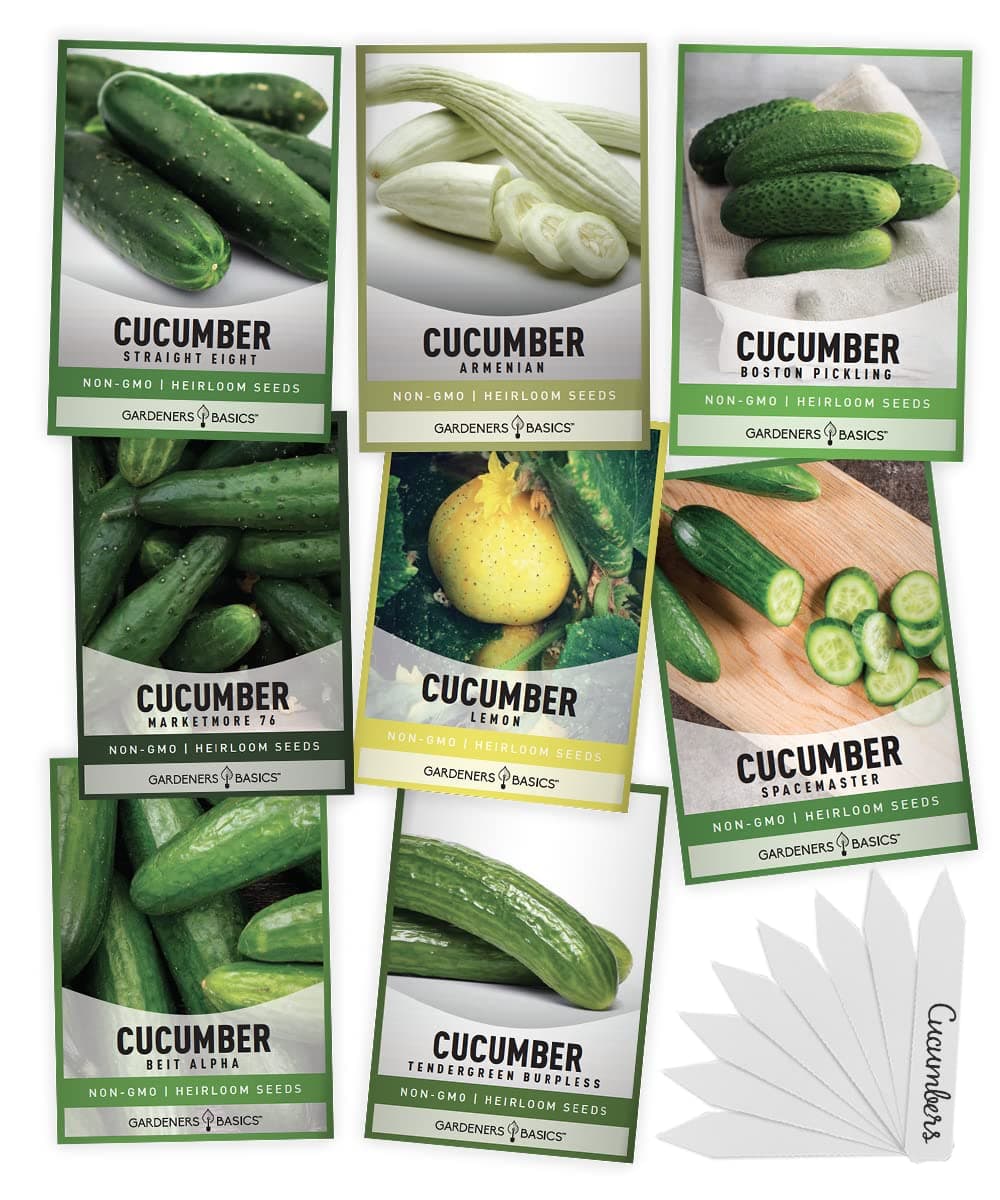 Gardeners Basics, Cucumber Seeds for Planting Outdoors 8 Variety Pack Burpless Tendergreen, Beit Alpha, Marketmore 76, Armenian, Boston Pickling, Lemon, Spacemaster, Straight Eight Veggie Seeds