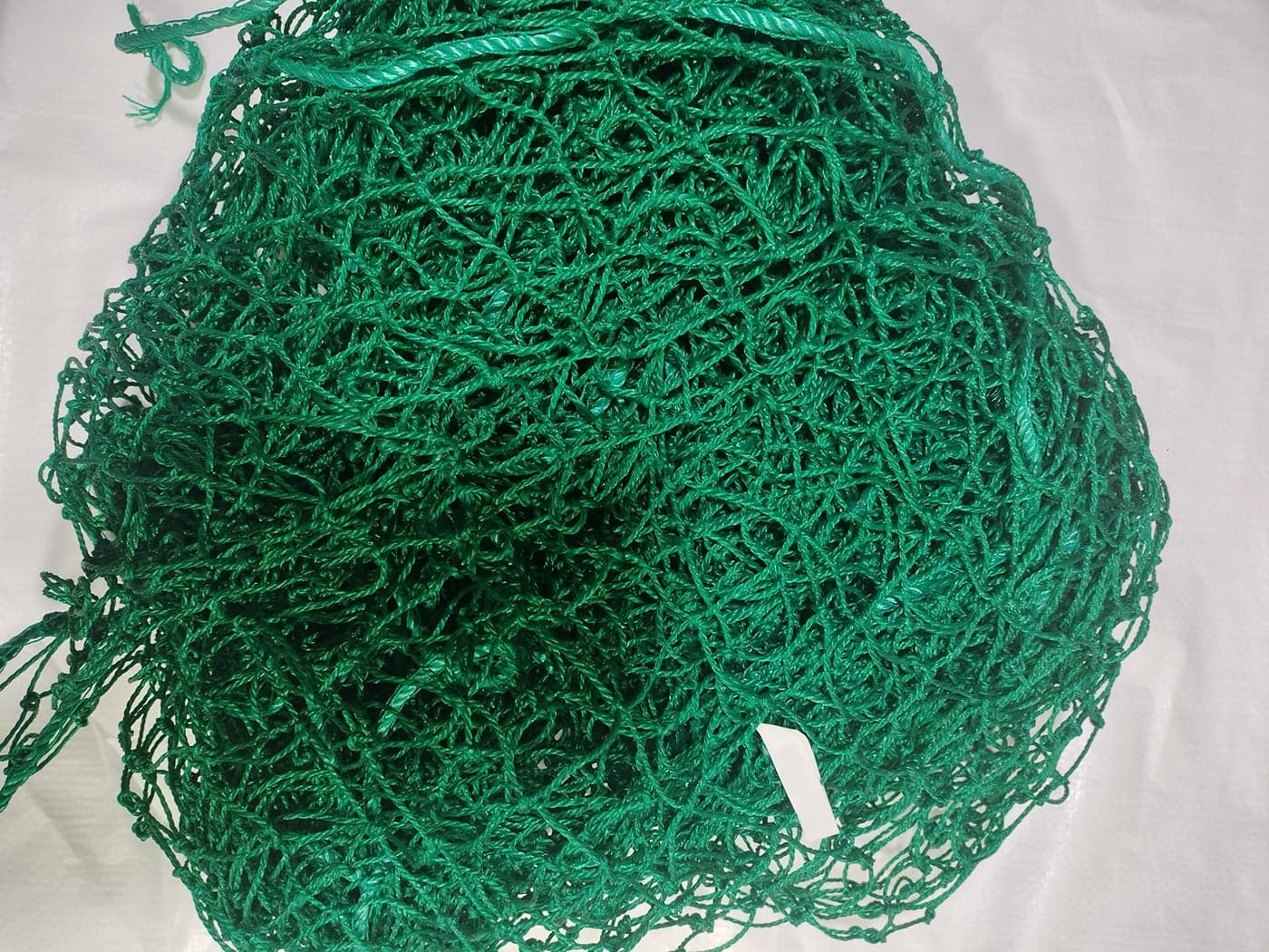 ABZ Sports Nets Nylon Garden Plant Creeper Netting | Plant Support Netting | Garden Netting with Square Mesh for Climbing Plants, Vegetables, Fruits, and Flowers | Heavy-Duty (5Ftx6Ft)
