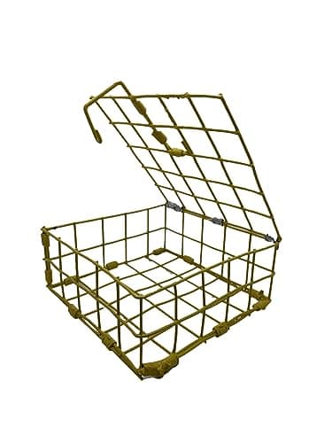 Protoco Bait Box, Large, 6 X 8 X 3-Inch, Yellow