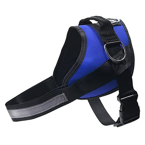 Pets Empire Dog Harness, No-Pull Reflective Breathable Adjustable Pet Vest with Handle for Outdoor Walking - No More Pulling (Medium (Neck 20.4-28.5''/ Chest 20-25.2''), Blue)