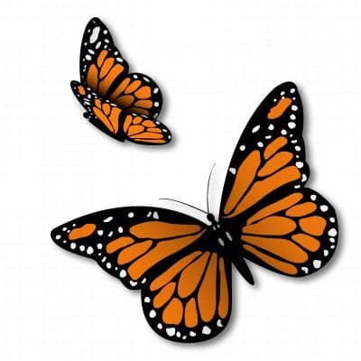 Monarch Butterflies Set of 2 Vinyl Sticker Car Window Bumper Laptop Select Size